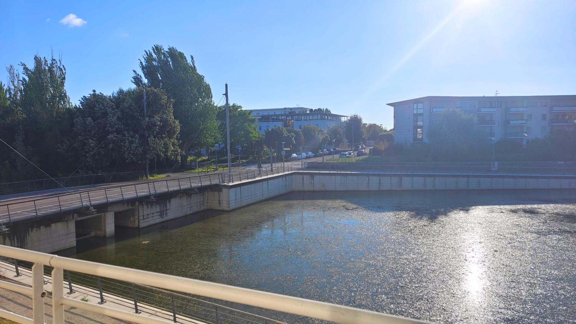 Charmant T2 Avec Piscine Vue Lac Aux Minimes La Rochelle La Rochelle  Eksteriør bilde